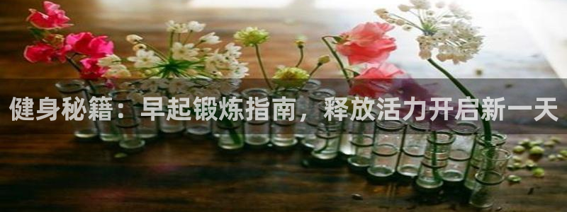 QY球友会体育官网